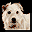 Hotel for Dogs (Europe) (En,Fr,De,Es,It) [b]的图标