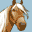 Imagine - Champion Rider (Europe) (En,Fr,De,Es,It,Nl,Sv,No,Da)的图标