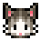 宠物猫猫N95的图标