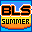 Big League Sports - Summer (USA) (En,Fr)的图标