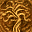 Chronicles of Mystery - The Secret Tree of Life (Europe) (En,Fr,De,Es,It,Nl) (NDSi Enhanced)的图标