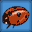 Clever Kids - Creepy Crawlies (Europe) (En,Fr,De,Es,It)的图标