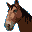 Petz - Horsez Family (USA) (En,Fr,Es) (NDSi Enhanced)的图标