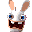 Rabbids Go Home - A Comedy Adventure (USA) (En,Fr,Es) (NDSi Enhanced)的图标