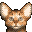爱猫生活 正式版(JP)(自由汉化组)(512Mb)的图标