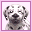 I Love Dogs - My Cute Puppies (Europe) (Sv,No,Da,Fi)的图标