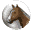 Your Riding School (Europe) (En,Fr,De,Es)的图标