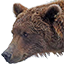 疯狂狩猎2的图标