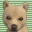 Nintendogs - Shiba & Friends (Japan)的图标