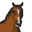 Clever Kids - Pony World (Europe) (En,Fr,De,Es,It,Pt)的图标