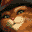 Puss in Boots (Europe) (En,Fr,De,Es,It,Nl)的图标