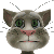 会说话的TOM猫3中文版的图标